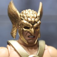 Image 1 of Bird Warrior