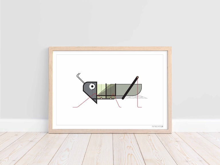 Grasshopper