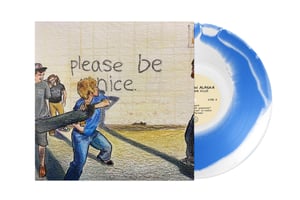 Image of Please Be Nice Vinyl