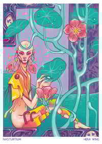 A3 Print - Nasturtium