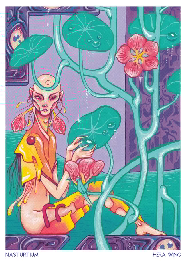 A3 Print - Nasturtium