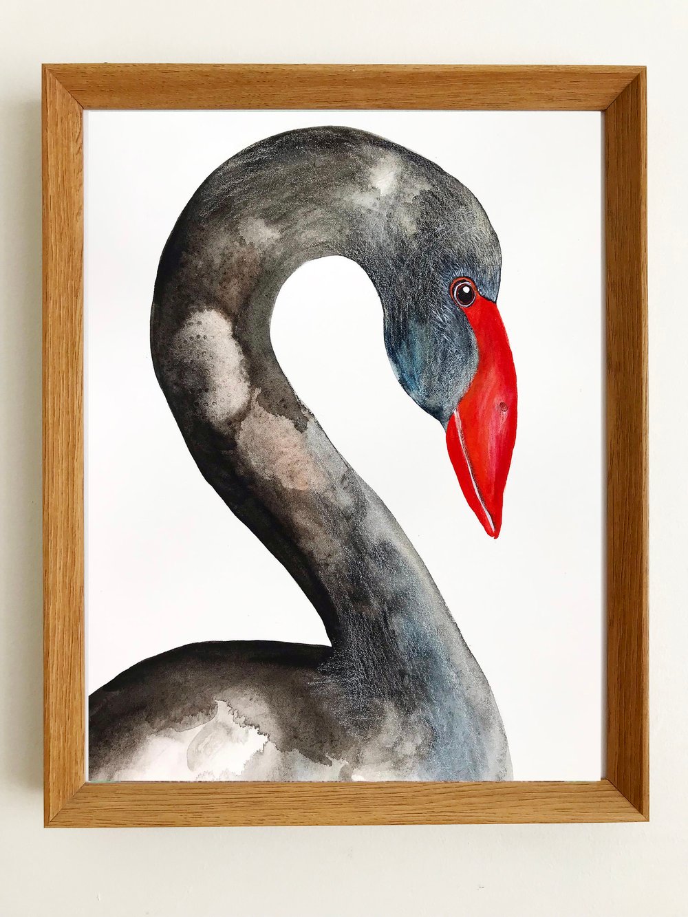 Image of Swan 