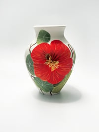 Image 3 of Single Nasturtium I, 12 cm tall 