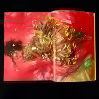 Image 4 of Paper Moon Spring 78