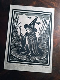 Image of Frederick the frog wizard
