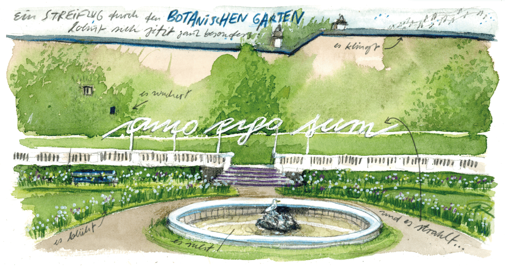 Image of Botanischer Garten // Wien