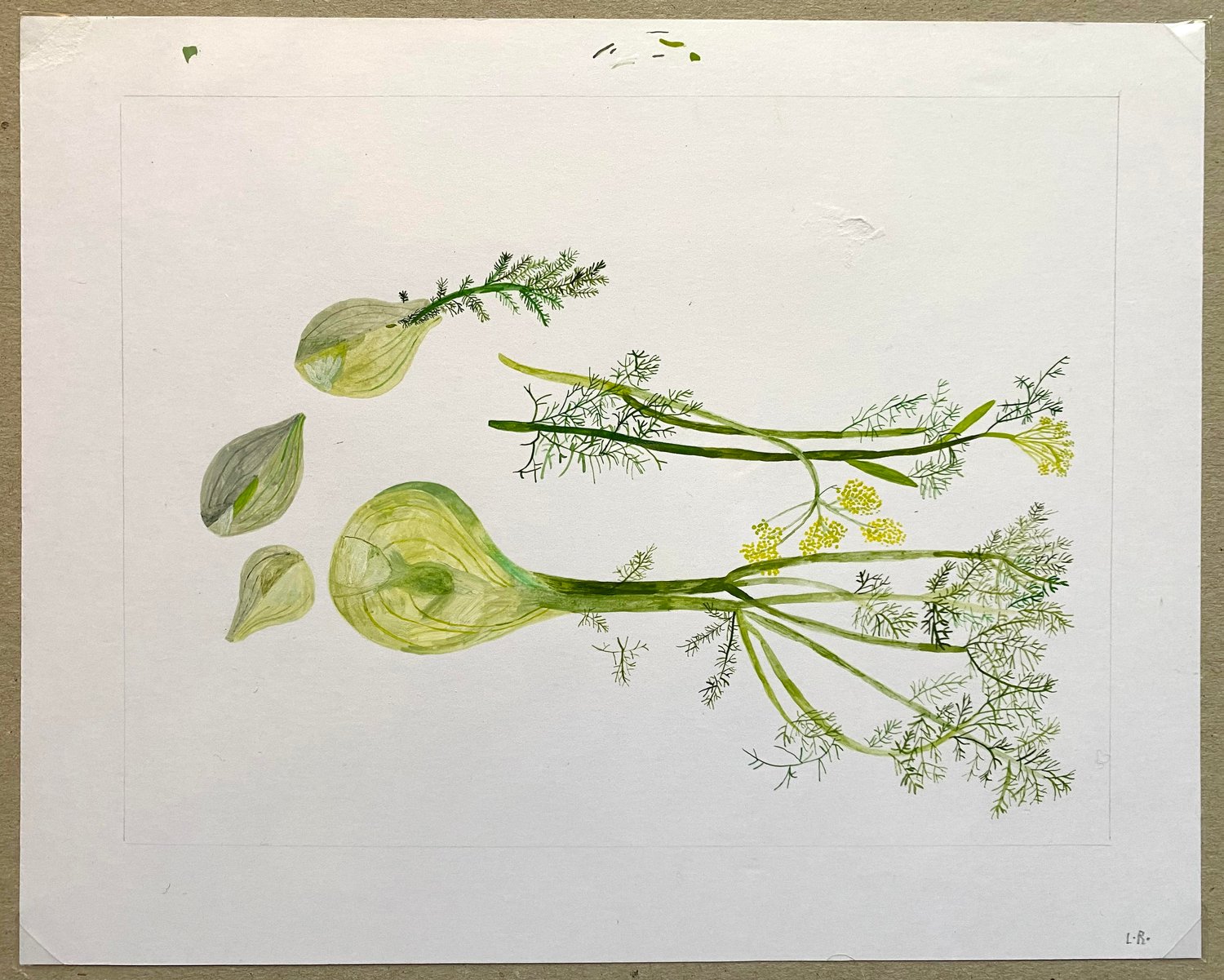 Image of Fennel, Original Artwork