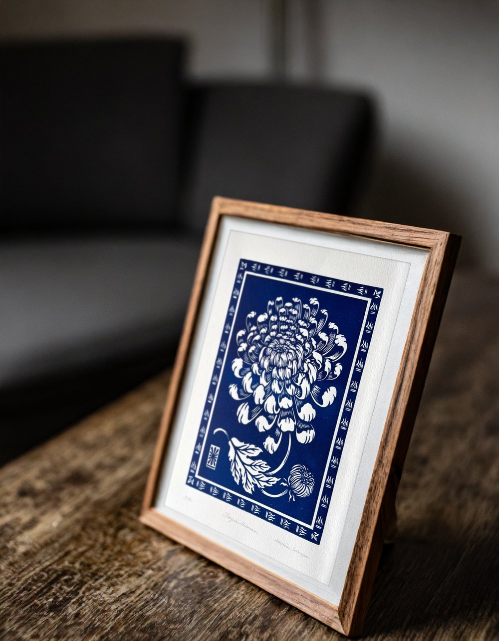 Chrysanthemum blue