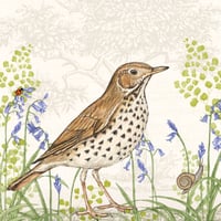 Image 3 of SONG THRUSH GREETING CARD