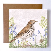 Image 1 of SONG THRUSH GREETING CARD