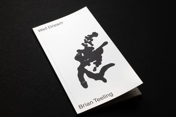 Image of Wet Dream Book