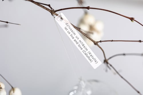 Image of "Let us live..." 7 cm Christmas ball with white inscription in Latin