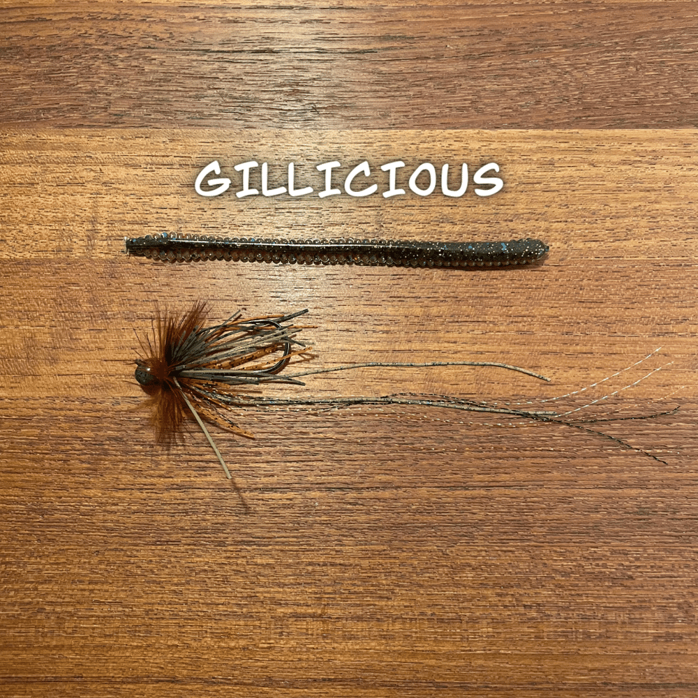 Shakey Jig Worm Combo Pack--Tourney Winner! - Image 2