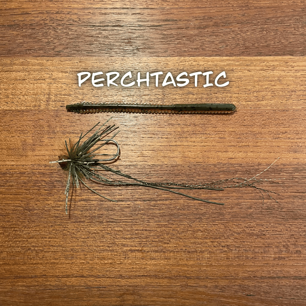 Shakey Jig Worm Combo Pack--Tourney Winner! - Image 3