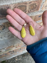 Image 1 of Wood earrings small 29