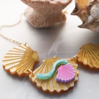 Image 1 of Scallop shells