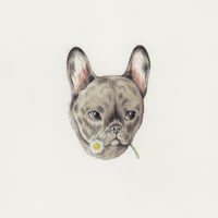 Pet Portrait Commission