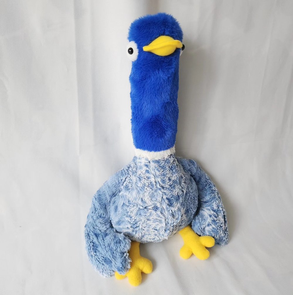 Image of Whio blue duck