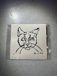 Image 1 of Cat 
