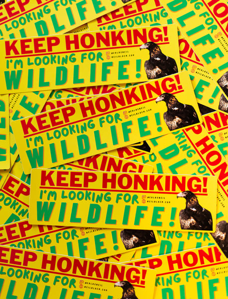Image of Keep Honking! I'm Looking For Wildlife! Bumper Sticker