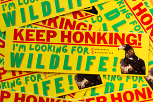 Image of Keep Honking! I'm Looking For Wildlife! Bumper Sticker