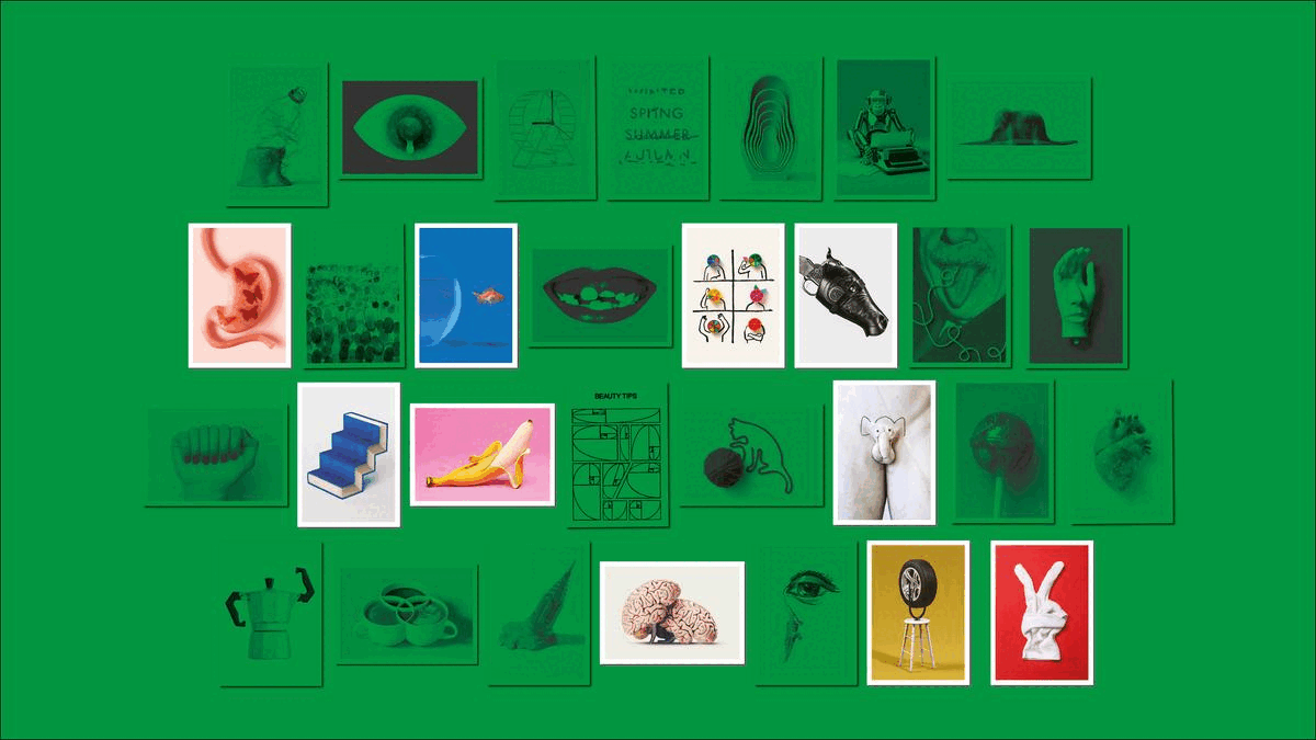 Image of Surprise Surprise Selection