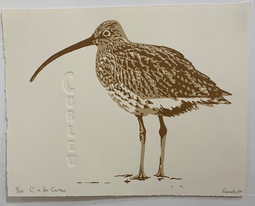 Image of Curlew Print 