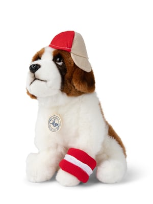 Image of Peluche San Bernardo con gorra