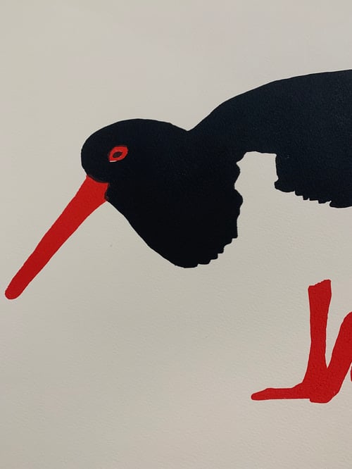 Image of O Is for Oyster Catcher 1