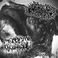 ENDOCARDITIS & HUMAN STENCH RESTS IN THE MORGUE "Gorgasmic Hymns Of Decomposition" CD