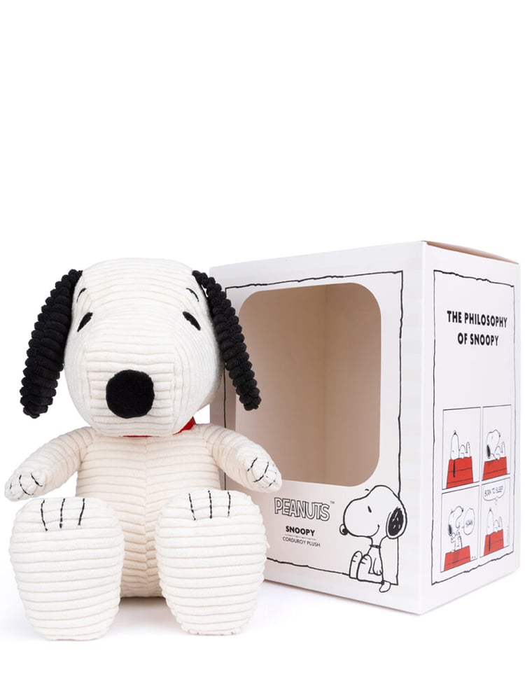 Image of Snoopy en caja de regalo
