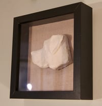 Image 2 of Labrador on Hessian