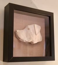 Image 3 of Labrador on Hessian