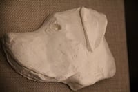 Image 4 of Labrador on Hessian
