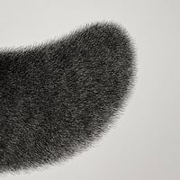 Image 3 of Kitty No.73 Original Artwork - RESERVED FOR PASCAL