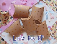 Image 1 of SALE!! LUCKY BOX HARRY POTTER