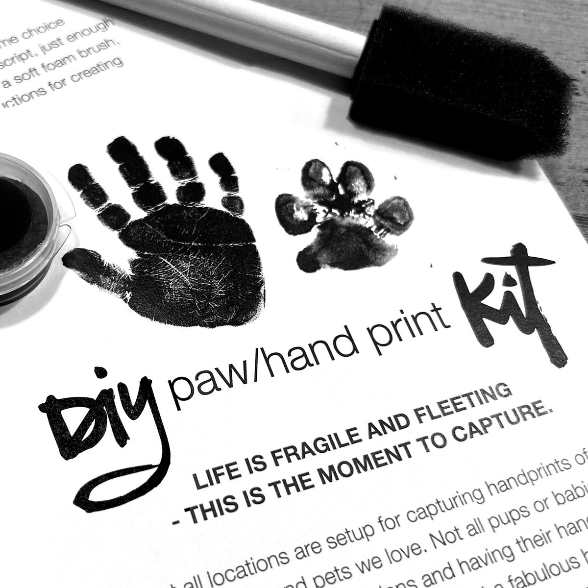 Image of HAND + PAW DIY kit