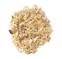 SLIPPERY ELM