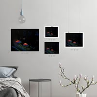 Image 4 of "Painted Nature: Mushrooms" Print