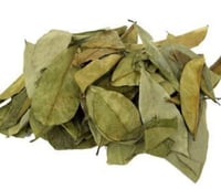 Image 1 of SOUR SOP LEAVES