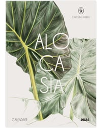 Image 1 of Alocasia 2024 Calendar 