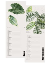 Image 2 of Alocasia 2024 Calendar 