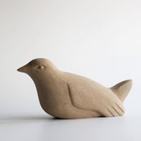 Image 3 of Bird Resting its Wings