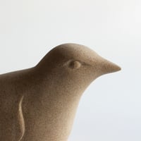 Image 5 of Bird Resting its Wings