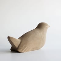 Image 4 of Bird Resting its Wings