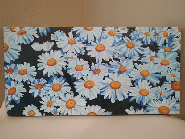Image of Field of Daisies