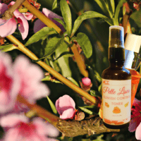 Acne Control Toner 1 oz