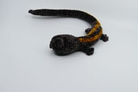 Image 3 of Gold-Striped Salamander