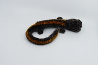 Image 4 of Gold-Striped Salamander