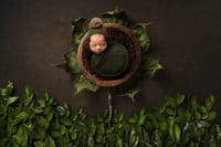 Image 5 of ADD ON Artistic Newborn Composite 